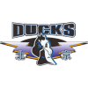 Beijing Ducks